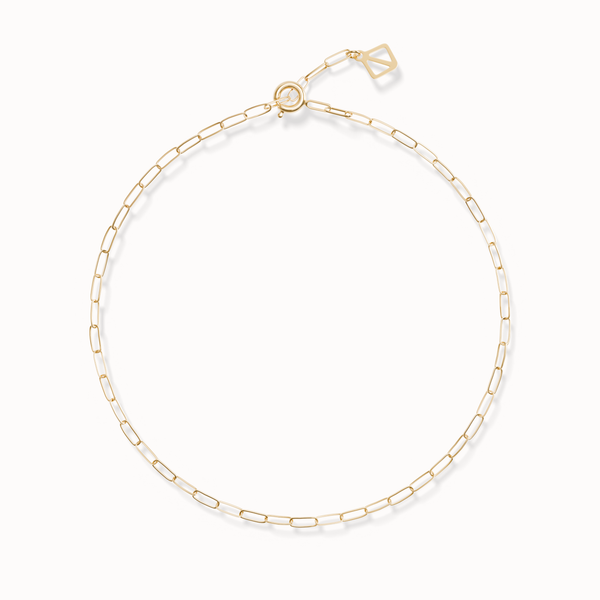 Linked Anklet